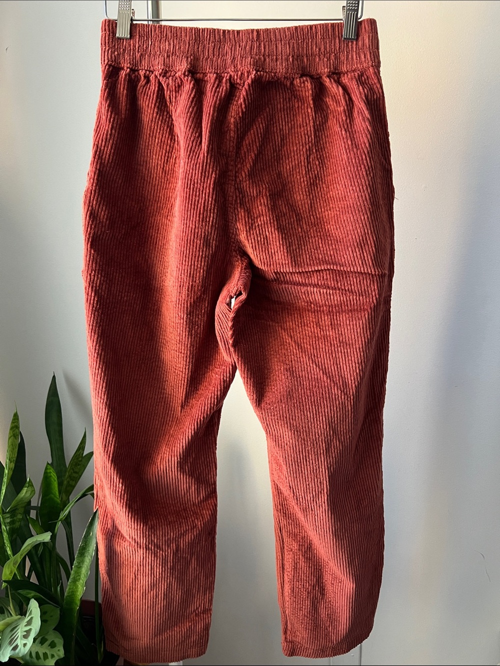 PACT Organic High-Rise Corduroy Ankle Pants in Rust Red M - Picture 2 of 7